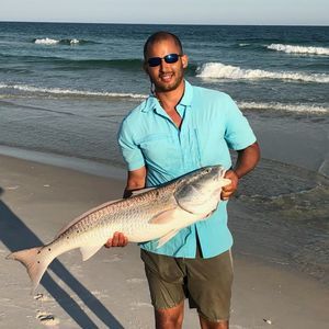 Meet your Posher, Sean